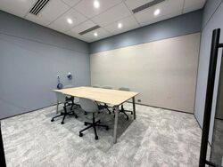 Mapletree Anson (D2), Office #504164791